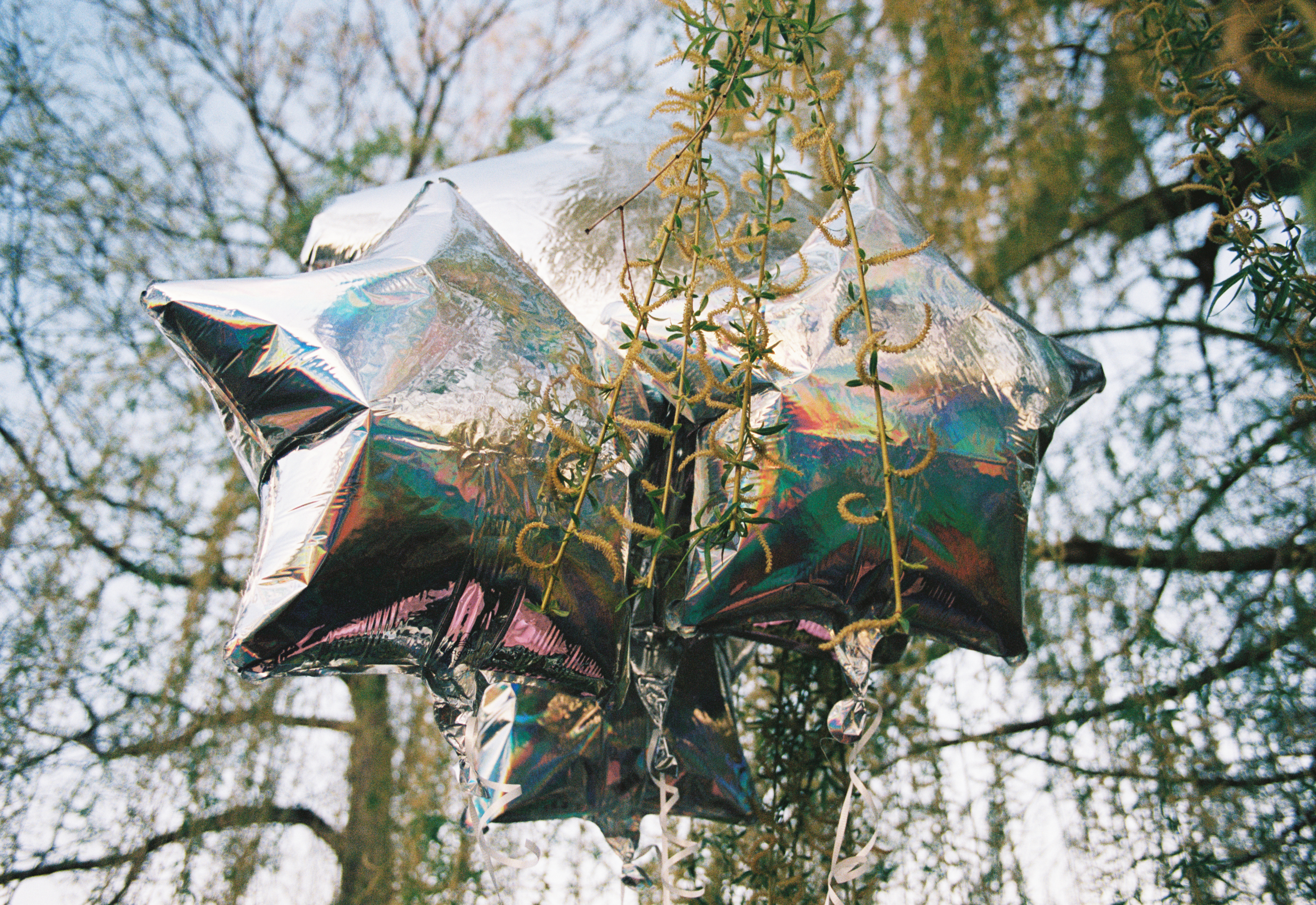 Mylar balloons in front of a weeping willow tree